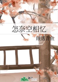 《怎奈空相忆》