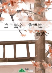 《當個皇帝,靠悟性!》