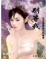 《別等我(菩提樹下的精靈)》