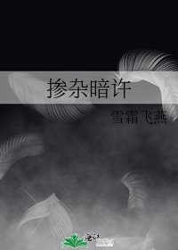 《摻雜暗許》