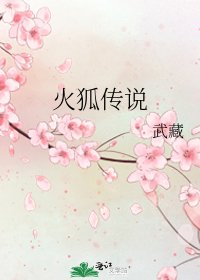 《火狐傳説》