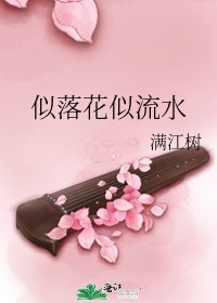 《似落花似流水》