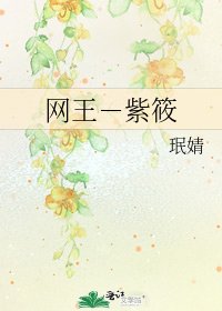 《网王-紫筱》
