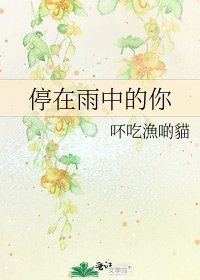 《停在雨中的你》