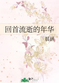 《回首流逝的年華》