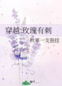 《穿越:玫瑰有刺》