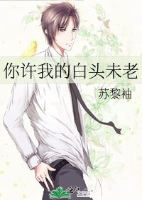《你许我的白头未老》