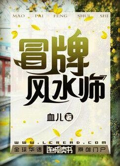 《冒牌风水师》