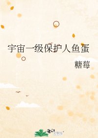 《宇宙一级保护人鱼蛋》