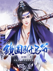 《鎮國駙馬爺》