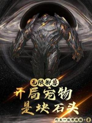《无限御兽:开局宠物是块石头》