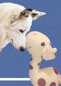 《(BL/社交网络同人)Geronimo安全降落 ME》
