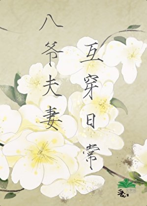 八爷夫妻互穿日常(清穿)