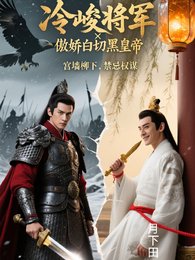 冷峻将军