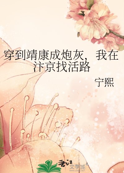 穿到靖康成炮灰，我在汴京找活路