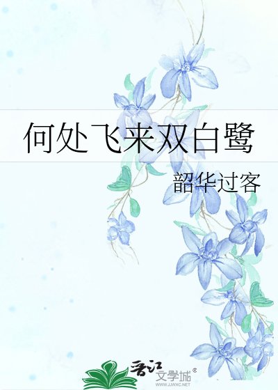 何处飞来双稗鹭