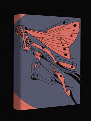 《拉尔曼郡的魔女》