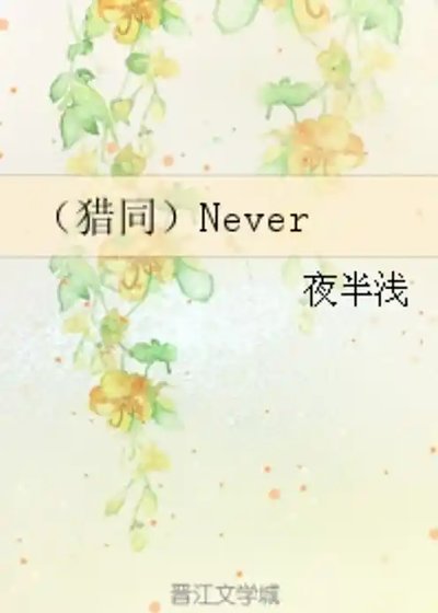 《Never !》