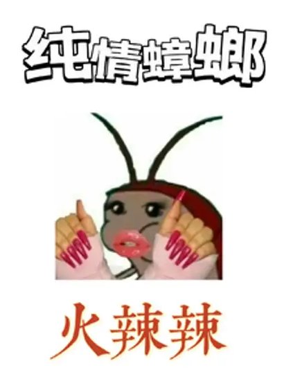 纯情蟑螂火辣辣!