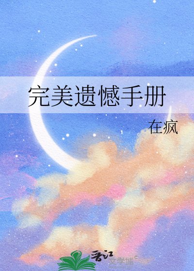《完美遗憾手册》