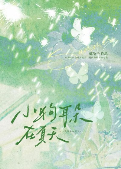 小狗耳朵在夏天