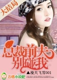 总裁前夫别碰我