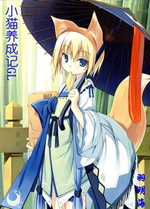 《小猫养成记》