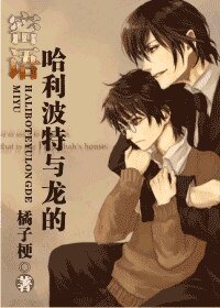 《哈利波特与龙的密语》