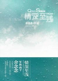 《情深至浅(军旅 高干)》